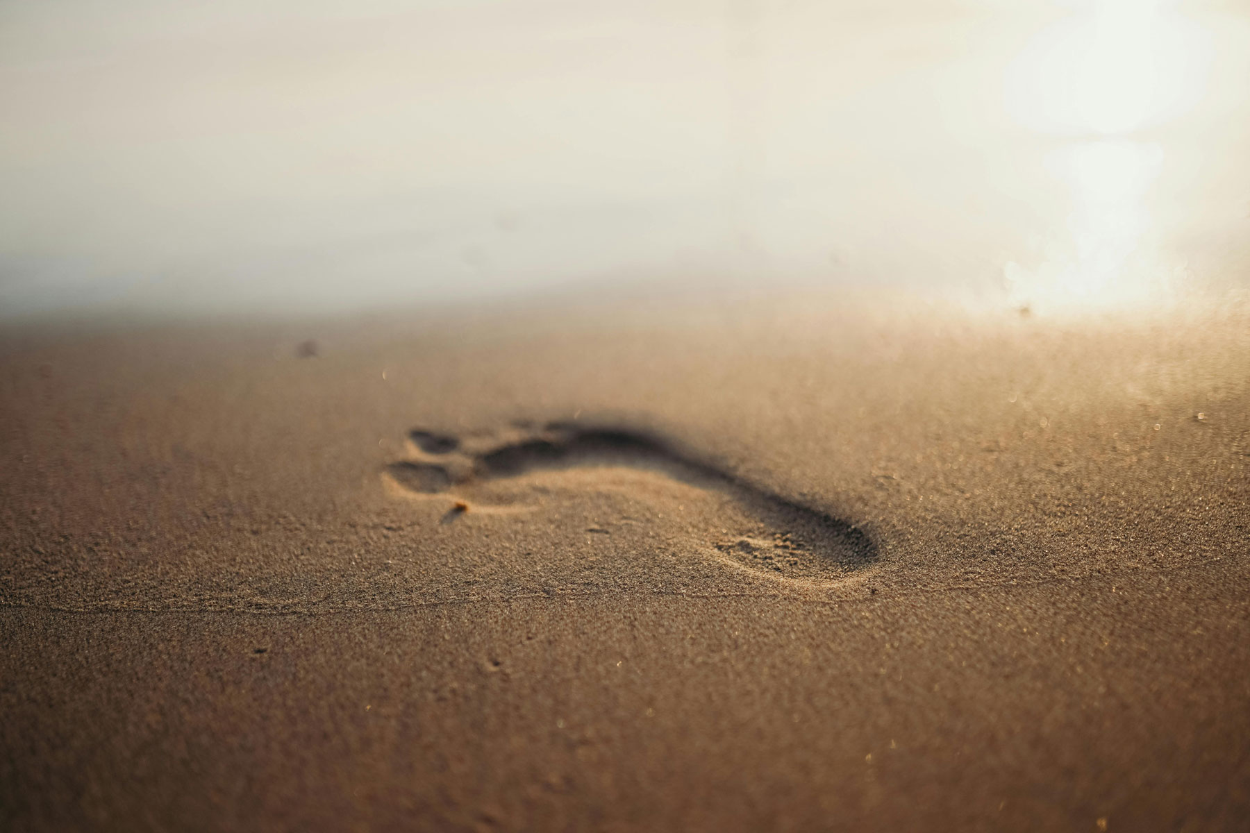 The Motivation Myth: Why You Don’t Need to Feel Ready to Begin